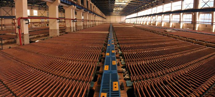 W020241121368845673355