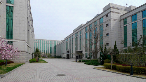 W020241119545511678007