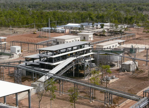 W020241119545519231072