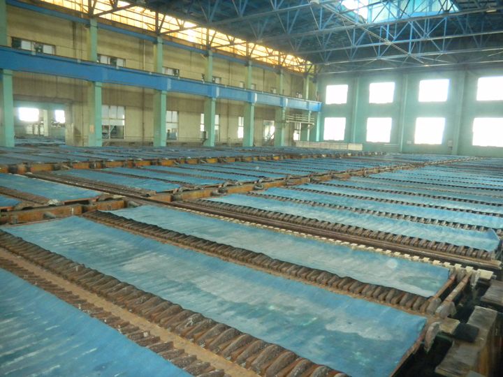 W020241119527174331442