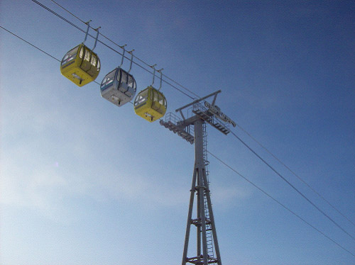 W020241119528341428253